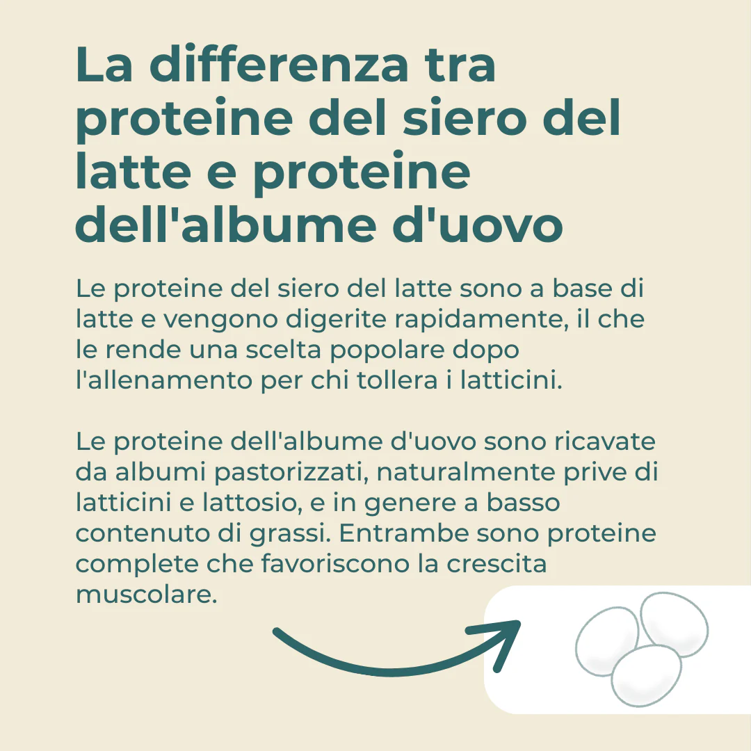 Immagine prodotto 5