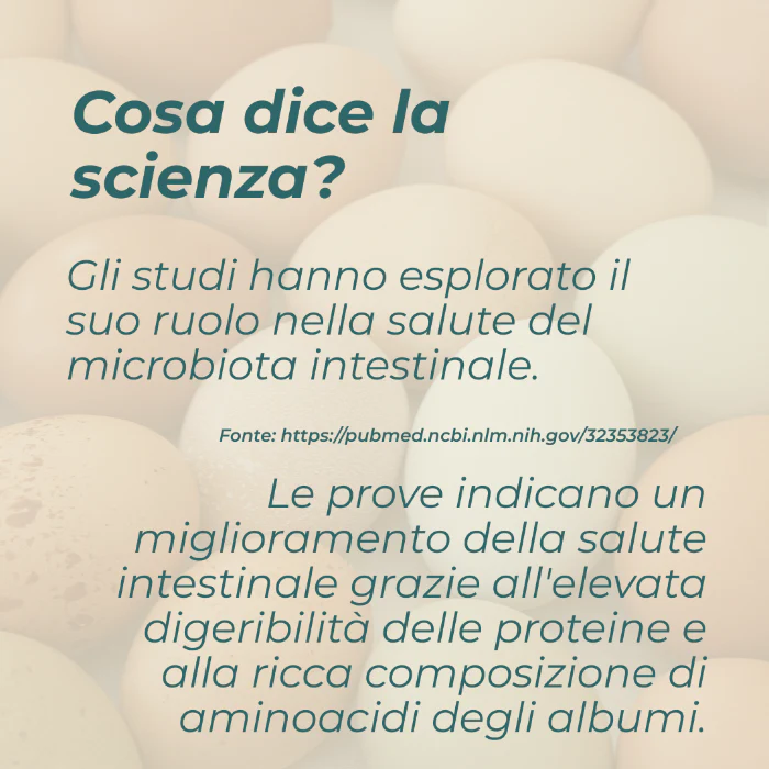 Immagine prodotto 7