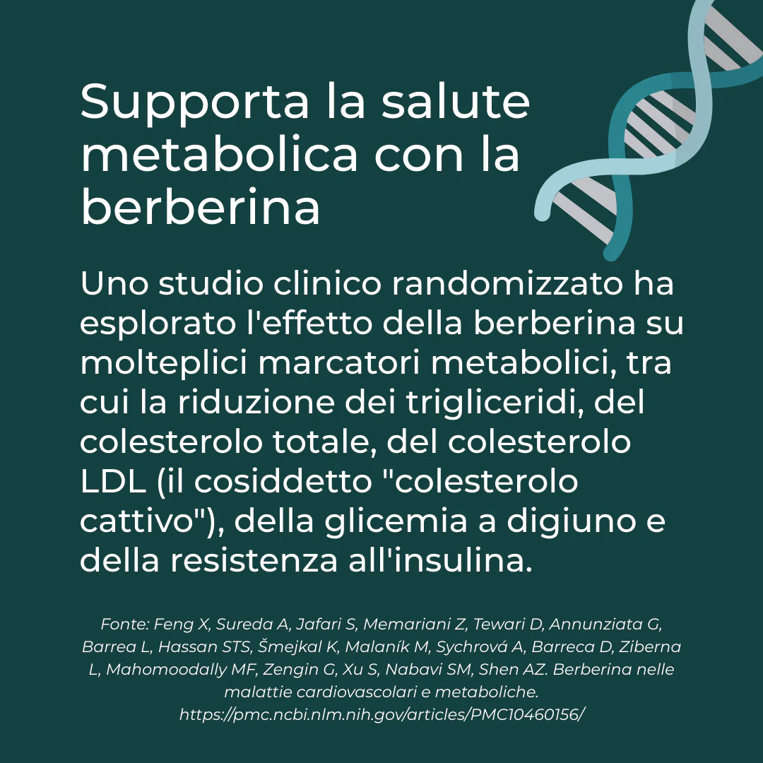 Immagine prodotto 6