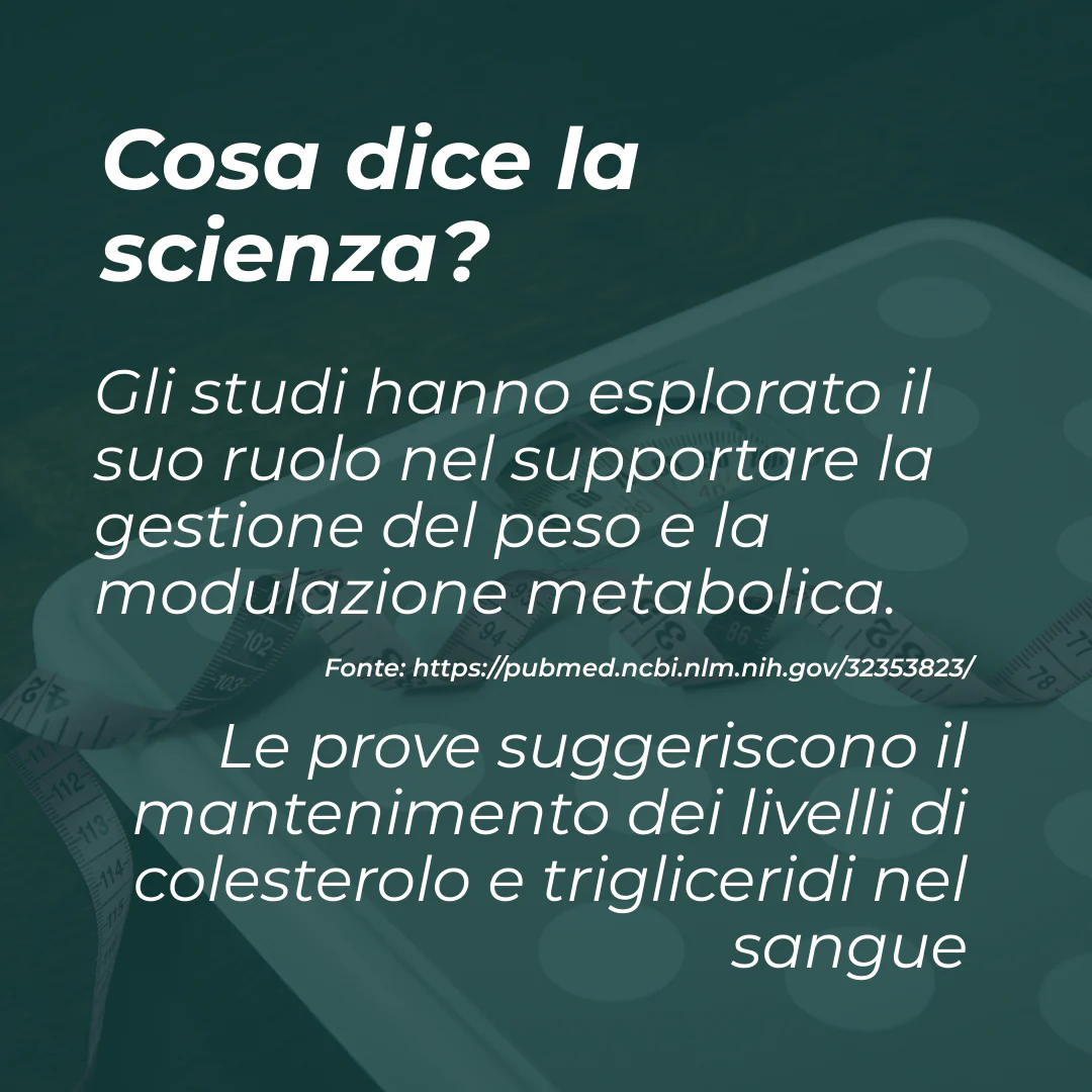 Immagine prodotto 7
