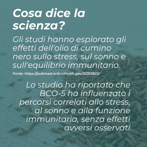 Immagine prodotto 5
