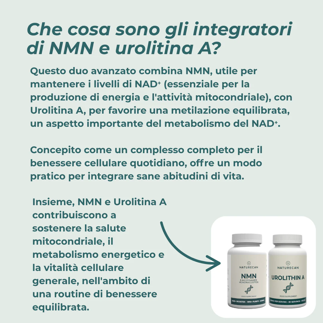 Immagine prodotto 5
