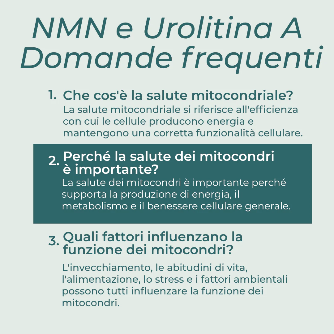Immagine prodotto 8