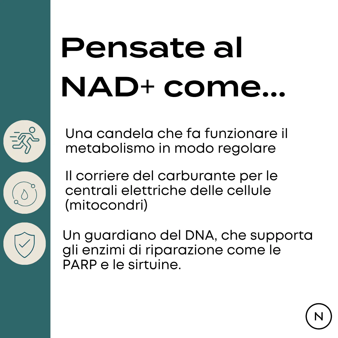 Immagine prodotto 3