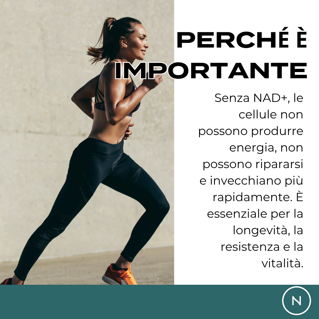 Immagine prodotto 5