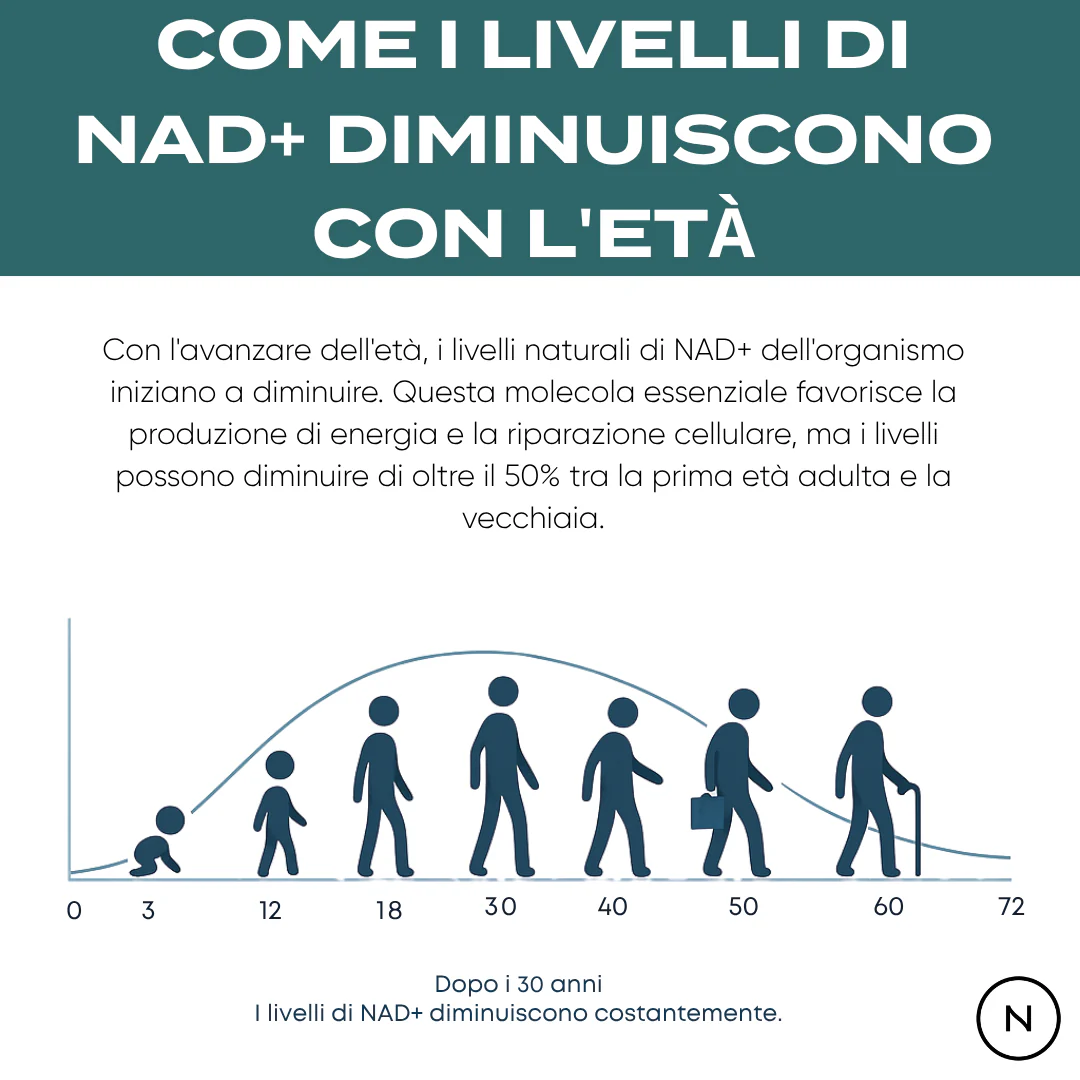 Immagine prodotto 6