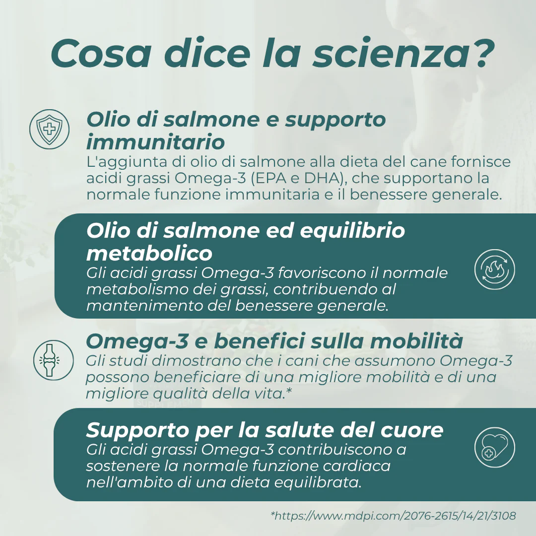 Immagine prodotto 6