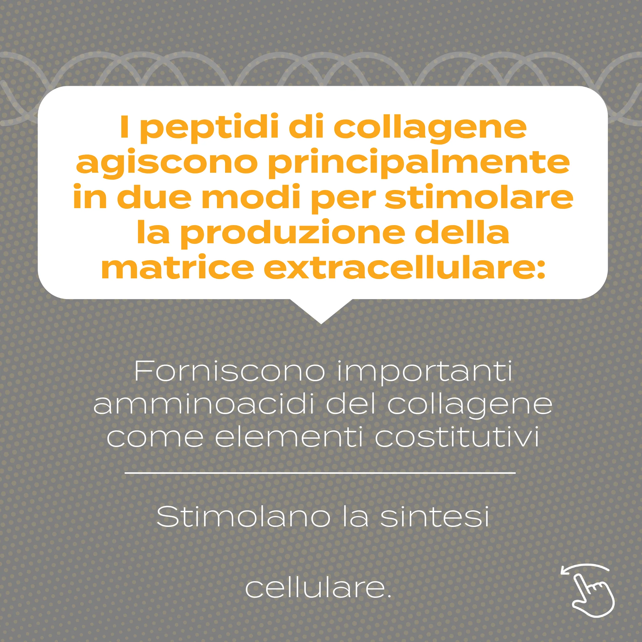 Immagine prodotto 6