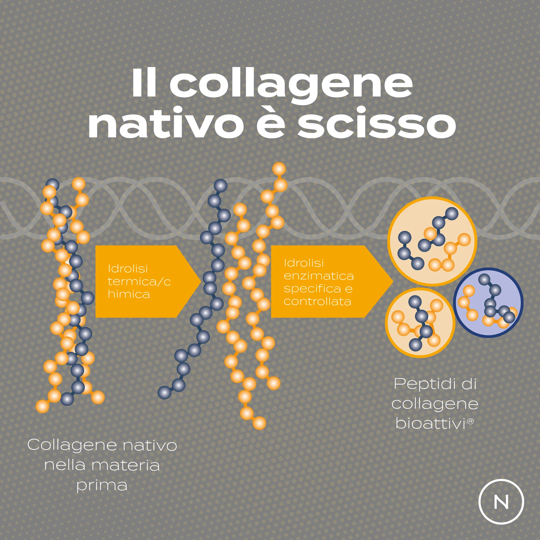 Immagine prodotto 7