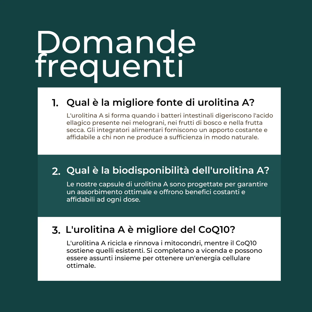 Immagine prodotto 8