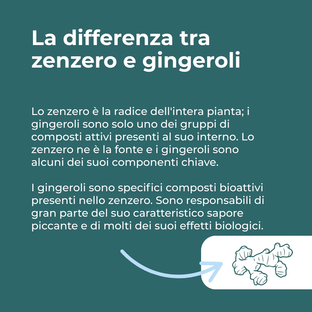 Immagine prodotto 3